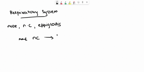 use-the-word-bank-to-select-appropriate-words_-anose-epiglottis-left-lung-diaphragm-mouth-f-pharynx-right-lung-n-trachea-nasal-cavity-g-larynx-k-bronchii-d-oral-cavity-rib-cage-alveoli-label-26573