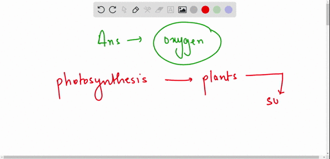 which-substance-is-a-product-of-photosynthesis-a-oxygen-b-carbon-dioxide-c-phosphorus-d-water-47158