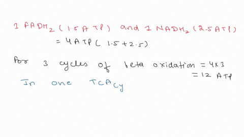 if-1-mol-of-a-fatty-acyl-coa-containing-20-carbon-atoms-undergoes-three-rounds-of-oxidation-how-many-mol-of-atp-are-produced-from-the-complete-aerobic-catabolism-of-the-products-of-these-thr-04917