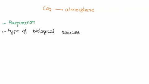 organisms-release-carbon-dioxide-back-into-the-atmosphere-what-process-allows-them-to-do-this-43596