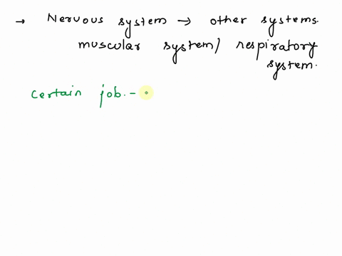 the-nervous-system-is-one-system-among-several-in-the-human-body-in-order-to-function-does-the-nervous-system-depend-on-other-systems-such-as-the-muscular-system-or-the-respiratory-system-50145