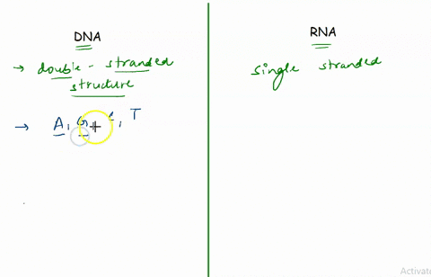 question-15-2-pts-dna-differs-from-rna-because-dna-always-double-stranded-while-rna-is-never-double-stranded-contains-thymine-in-place-of-uracil-consists-of-a-single-rather-than-double-polyn-11538