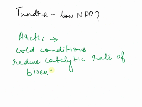 why-does-the-tundra-have-relatively-low-net-primary-productivity-include-a-discussion-of-3-abiotic-factors-your-answer-should-demonstrate-your-understanding-of-npp-do-not-assume-i-know-what-45994