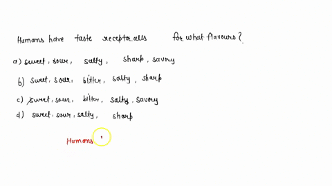 umami taste involves the perception of what sweet bitter salt sour 