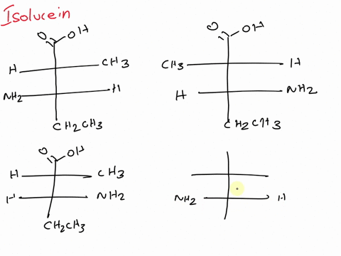 there-are-2-amino-acids-that-have-2-chiral-centers-isoleucine-and-threonine-draw-fischer-projections-of-the-4-stereoisomers-of-isoleucine-using-the-conventions-for-amino-acids-label-each-iso-70844
