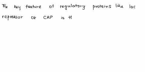 the-figure-at-the-beginning-of-this-chapter-shows-the-binding-of-both-a-lac-repressor-tetramer-and-a-06357