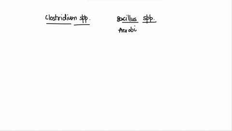 in-terms-of-their-oxygen-requirements-how-do-clostridium-spp-of-bacillus-spp-91206