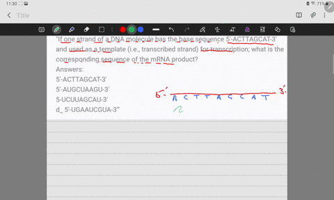 if-one-strand-of-a-dna-molecule-has-the-base-sequence-5-acttagcat-3-and-used-as-a-template-ie-transcribed-strand-for-transcription-what-is-the-corresponding-sequence-of-the-mrna-product-answ-05184
