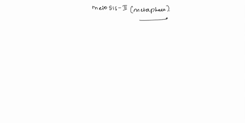 42-in-metaphase-of-meiosis-il-the-chromosomes-line-up-at-the-equatorial-plate-of-the-cell-43-the-term-describes-the-synapsed-homologous-pairs-of-chromosomes-during-meiotic-cell-division_-43-72896