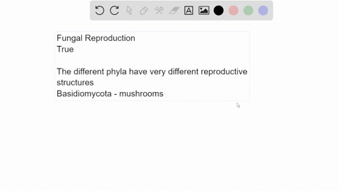 fungal-fruiting-bodies-or-reproductive-bodies-have-different-structural-forms-true-or-fasle