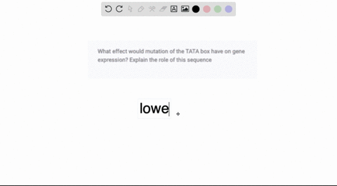 what-effect-would-mutation-of-the-tata-box-have-on-gene-expression-explain-the-role-of-this-sequence-60225