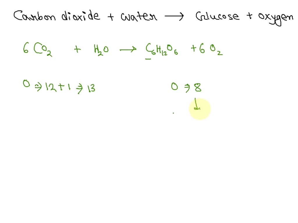 SOLVED: What type of reaction/s take place by plants in the day time ...