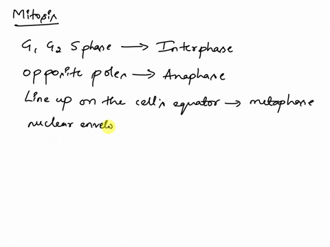 question-20-match-the-following-terms-with-the-correct-definition-some-answers-may-be-used-more-than-once-the-first-three-stages-of-the-cell-cycle-g1-62-and-s-stage-of-mitosis-in-which-the-c-29129