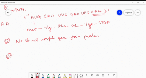 given-below-is-the-coding-strand-of-parent-dna-for-a-particular-gene-3-aattataagcttaacgta-5-a-what-is-the-mrna-strand-produced-what-is-the-amino-acid-sequence-of-this-gene-b-is-this-a-comple-47255