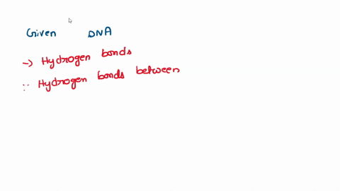 the-bonds-that-link-the-base-pairs-in-the-dna-double-helix-are-hydrophobic-interactions-ionic-bonds-hydrogen-bonds-peptide-bonds-ester-bonds-63395