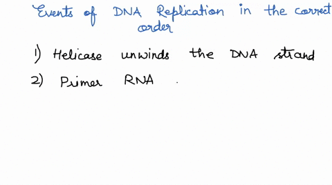 question-1-1-point-saved-put-the-events-of-dna-replication-in-the-correct-order-one-strand-is-synthesized-continuously-while-the-other-is-formed-in-pieces-a-primer-rna-sequence-is-added-to-t-58164