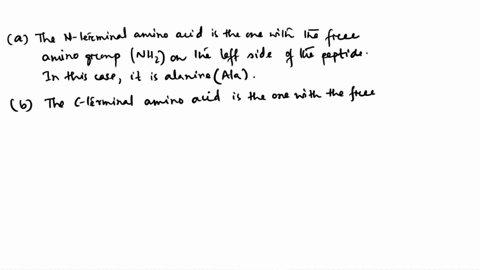 use-the-structure-of-the-peptide-shown-below-to-answer-the-questions-that-follow-hynt_-ch-c-chz-ch-c_-ch-8-_chz-e-6-ch-ch-chz-ch-chy-co-ch-nhz-cha-2-pts-name-of-the-n-terminal-amino-acid-2-p-75506
