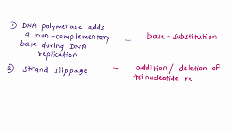 label-each-spontaneous-mutation-or-mutagen-a5-causing-a-base-subtitution-additiondeletion-of-trinucleotide-repeats-frameshift-or-breaks-in-dna-dna-polymerase-adds-a-non-complementary-choose-37032