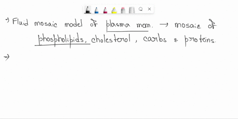 phospholipids-are-arranged-to-form-the-plasma-membrane-so-that-a-the-heads-are-facing-the-extra-cellular-fluid-and-tails-are-internal-b-the-heads-of-the-outer-layer-phospholipids-face-the-ta-77425