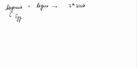 question-49-and-50-question-492-points-when-does-oogenesis-begin-during-embryonic-development-at-birth-during-thelarche-during-pubarche-during-menarche-question-502-points-which-cell-type-is-58331