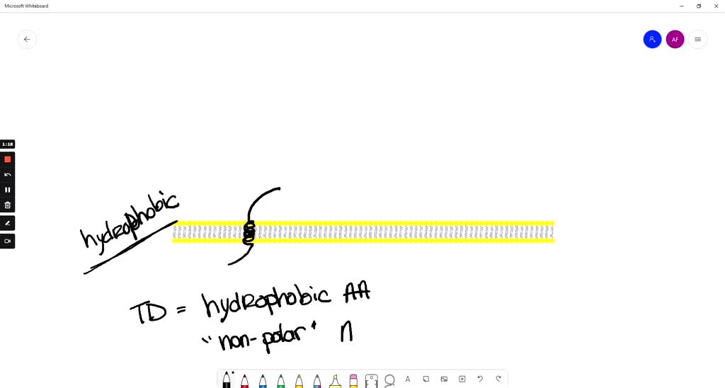 SOLVED Which of the following properties can you predict based on the