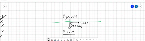 the-breakdown-of-pyruvate-in-the-krebs-cycle-results-in-the-release-of-energy_-carbon-dioxide-oxygen-hydrogen-all-of-these-except-oxygen-70267