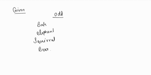 find-odd-man-out-bat-elephant-squirrel-bear-find-the-odd-man-out-bats-elephant-squirral-bear-75811