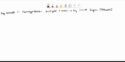 write-the-summary-equation-for-photosynthesis-below-2-list-several-similarities-and-several-differences-between-the-processes-of-cellular-respiration-and-photosynthesis-similarities-difleren-10315