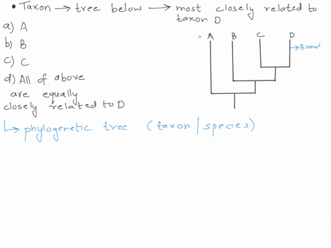 which-taxon-on-the-tree-below-is-most-closely-related-to-taxon-d-a-a-b-b-c-c-d-ail-of-the-above-are-equally-closely-related-to-d-60598