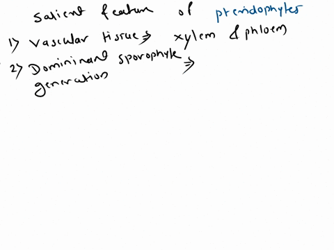 what-are-the-salient-features-of-pteridophytes-57118