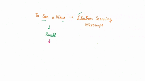 jeoco-in-order-to-see-a-virus-you-must-use-an-electron-scanning-microscope-in-order-to-view-nanometers-true-false-99343