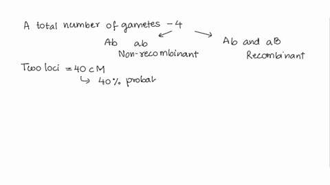 3-if-the-a-and-b-loci-are-40-cm-apart-and-an-aa-bb-individual-and-an-aa-bb-individual-matea-what-gametes-will-the-f1-individuals-produce-andin-what-proportions-what-phenotypic-classes-inwhat-63477
