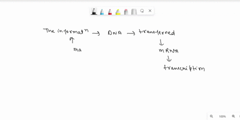what-happens-after-mrna-is-transcribed-mrna-becomes-part-of-the-nucleolus-mrna-enters-the-cytoplasm-and-moves-to-a-ribosome-mrna-leaves-the-cytoplasm-through-the-cell-membrane-mrna-remains-i-84197