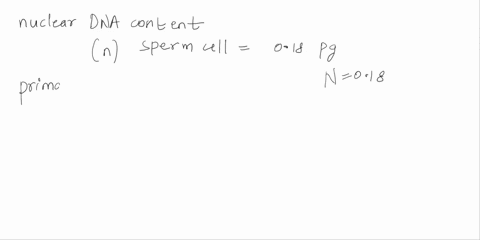 the-nuclear-dna-content-of-a-single-sperm-cell-in-drosophila-is-18-picograms-how-much-dna-would-you-expect-to-find-in-the-primary-spermatocyte-in-drosophila-how-much-dna-would-you-expect-to-26214