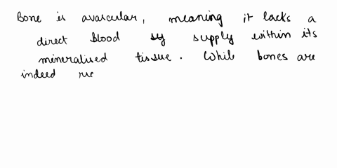 question23-bone-is-and-contains-mainly-oaavascular-sensory-obavascularmotor-o-chighly-vascularizedsensory-dhighly-vascularizedmotor-nerves-question-24-cartilage-o-a-is-surrounded-by-a-membra-61986