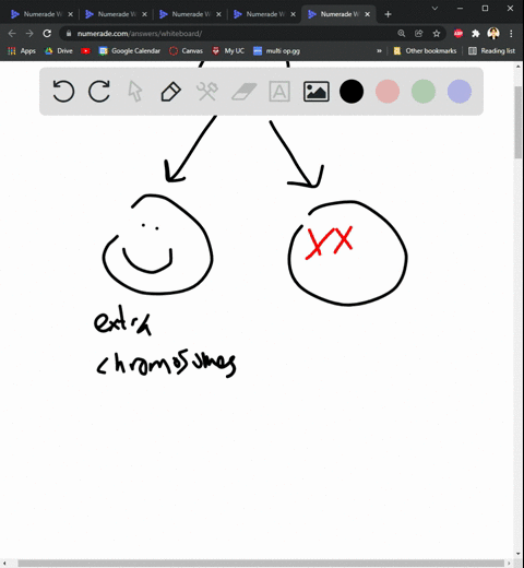 07-you-have-isolated-mutant-in-which-fraction-of-the-new-cells-die-soon-after-cell-division-and-a-fraction-of-the-iiving-cells-have-an-extra-copy-of-one-or-more-chromosomes-when-you-grow-the-22458