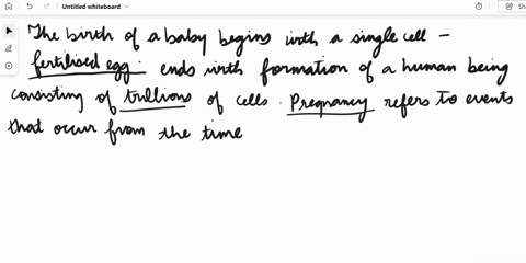 please-answer-questions-above-if-blurry-please-zoom-in-question-1-birth-fetus-testosterone-breasts-gestation-period-thousands-conceptus-millions-trilions-embryo-pregnancy-365-fertilized-egg-91316
