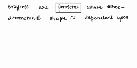 losing-kinetic-enzymes-are-whose-three-dimensional-shape-is-dependent-upon-environmental-variablesincluding-temperatureenzymes-function-most-efficiently-at-temperatures-temperature-increases-71356