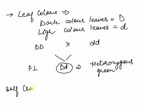 solve-use-the-figure-and-the-following-description-to-answer-the-question-in-a-particular-plantleaf-color-is-controlled-by-gene-locus-dplants-with-at-least-one-allele-d-have-dark-green-leave-45862