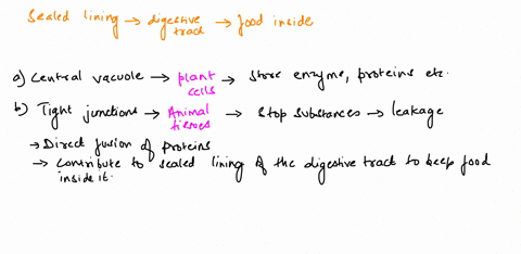 which-of-the-following-contributes-to-the-sealed-lining-of-the-digestive-tract-to-keep-food-inside-3-23059