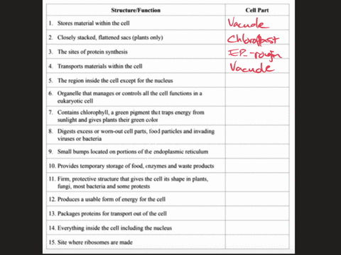 cell-organelles-worksheet-complete-the-following-table-by-writing-the-name-of-the-cell-part-or-organelle-in-the-right-hand-column-that-matches-the-structure-function-in-the-iefi-hand-column-95748