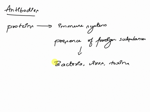 how-many-different-antibodies-can-be-produced-by-human-immune-system-10000000-10000-10000000000-1000000-54897
