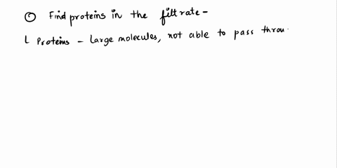 excretion-assignment-name-date-the-chart-below-gives-the-concentration-of-various-dissolved-substances-in-the-blood-plasma-filtrate-and-urine-the-arterial-blood-is-the-blood-coming-into-the-32277