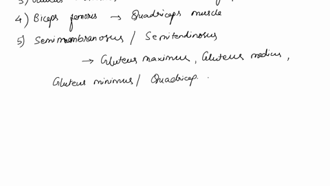 antagonistic-muscle-action-chri-hip-joint-and-pelvic-girdle-complete-the-chart-by-listing-the-niuscle-the-muscles-in-the-left-parts-of-muscles-column-that-are-ontagonist-in-their-achon-agoni-68313