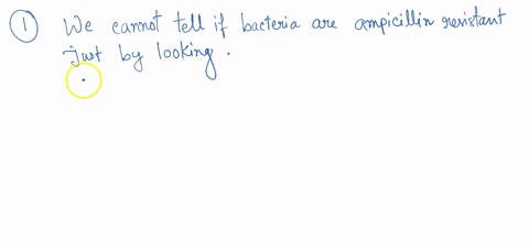 lesson-3-review-questions-name-the-interaction-between-genes-and-environment-look-again-yout-four-plates-do-you-observe-some-e-coli-growing-on-the-lb-plate-that-does-not-contain-ampicillin-o-87476