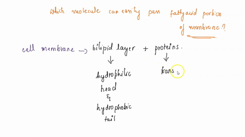 9-molecules-that-are-soluble-in-membrane-unassisted-water-b-cholesterol-can-pass-through-the-fatty-acid-portion-of-the-cell-c-gases-d-lipids-31448
