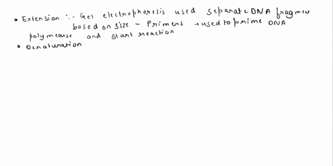 please-label-the-images-to-review-the-process-of-polymerase-chain-reaction-and-how-its-products-can-be-analyzed-using-gel-electrophoresis-extension-priming-denaturation-isec-complete-copies-44604