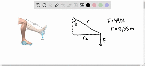 the-drawing-shows-a-lower-leg-being-exercised-it-has-a-49-n-weight-attached-to-the-foot-and-is-extended-at-an-angle-0-with-respect-to-the-vertical-consider-a-rotational-axis-at-the-knee-lefttext-a-w-2