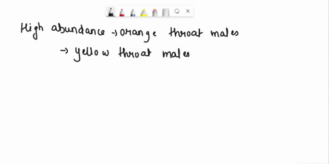interactive-question-518-populations-of-the-side-blotched-lizard-aggressive-orange-throat-males-defend-large-territories-with-throat-males-defend-smaller-territories-and-fewer-females-and-ye-34967