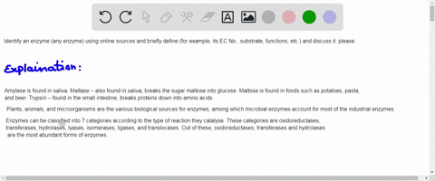 identify-an-enzyme-any-enzyme-using-online-sources-and-briefly-define-for-example-its-ec-no-substrate-functions-etc-and-discuss-it-please-18176